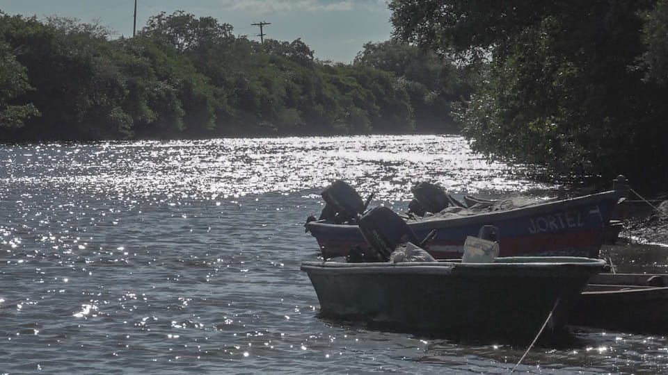 el-tamarindo